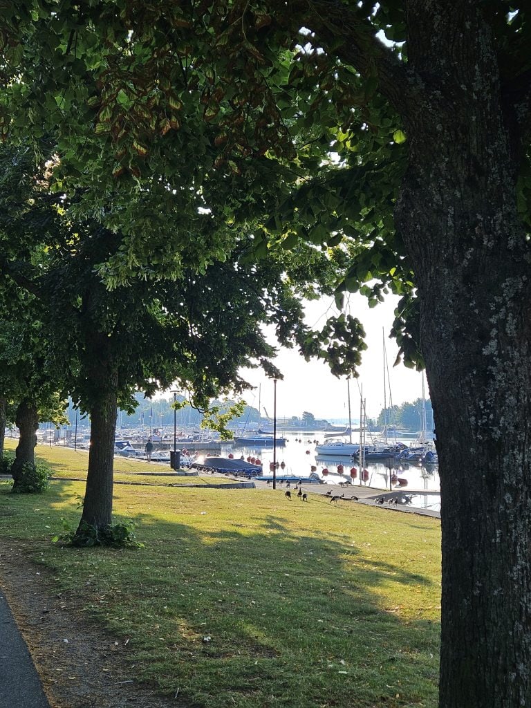 Kesäinen aamunäkymä Merisatamaan Helsingissä. Kuvassa pienvenesatama ja merenrantaa Kaivopuiston ja Ullanlinnan läheisyydessä. Kuva: Kari Haukka.