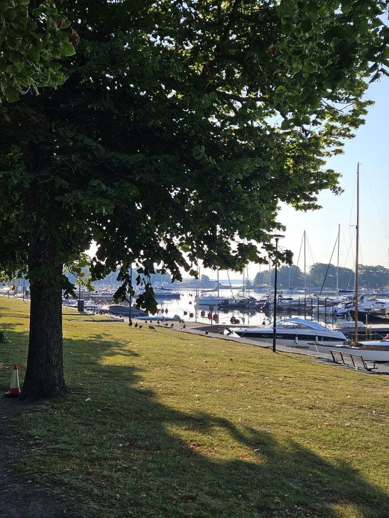 Kesäinen aamunäkymä Merisatamaan Helsingissä. Kuvassa pienvenesatama, merenrantaa ja saaristoa Kaivopuiston ja Ullanlinnan läheisyydessä. Kuva: Kari Haukka.