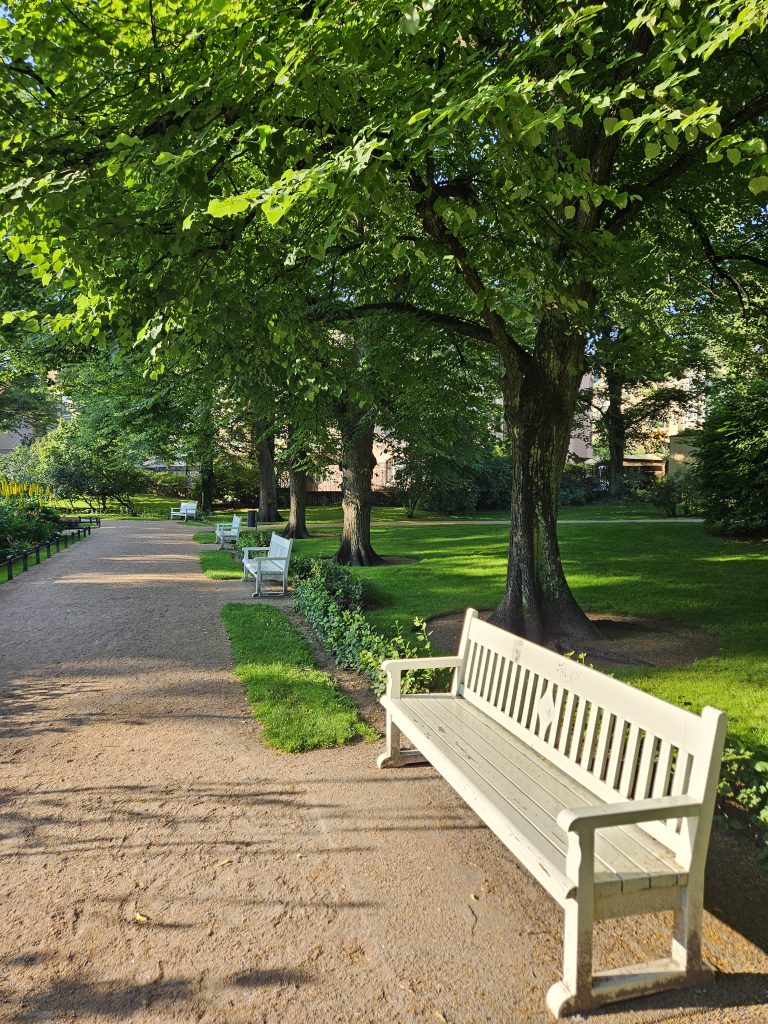 Valkoisia penkkejä Eiranpuistossa Helsingissä, vehreän puiston istutusten ja kaupunkiluonnon keskellä — kuvattu vuonna 2025.