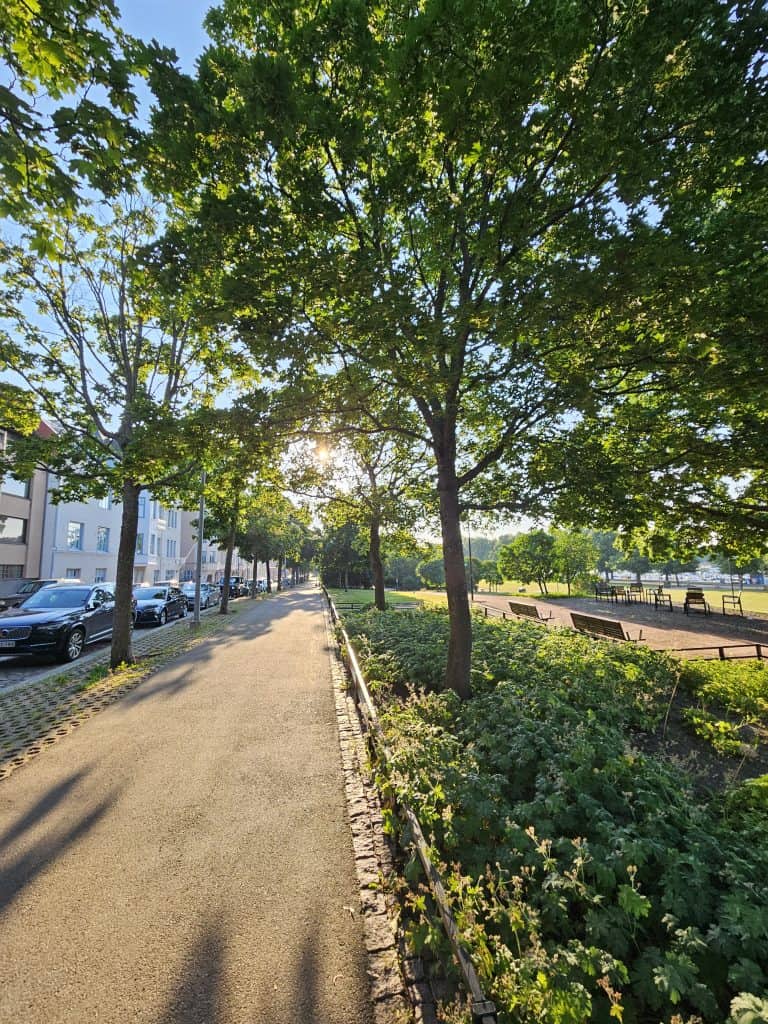 Puistoalue Meripuistossa Helsingissä. Kuvassa jalkakäytävä ja istutuksia, vasemmalla Merikatu Eiran ja Kaivopuiston läheisyydessä. Kuva: Kari Haukka.