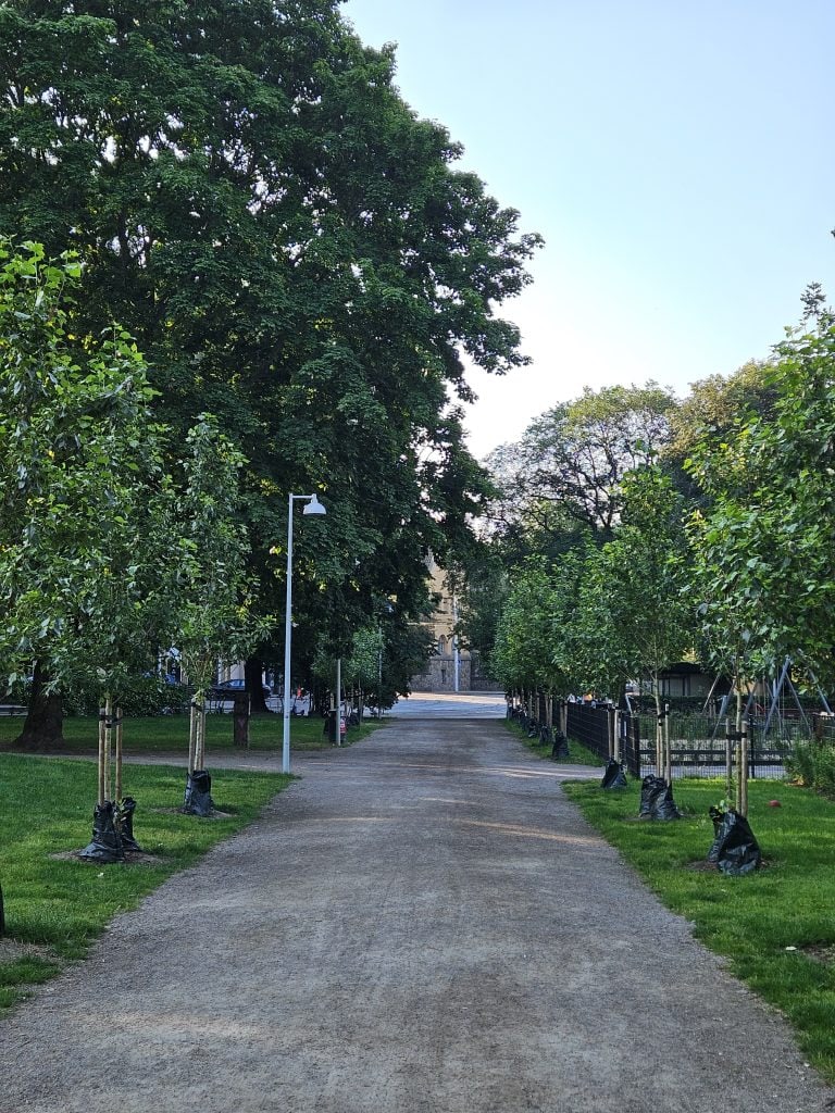 Näkymä Tehtaanpuistoon Eiran kaupunginosassa Helsingissä. Kuvassa puistoalue, istutuksia ja ympäröivää kaupunkirakennetta — kuvattu vuonna 2025.