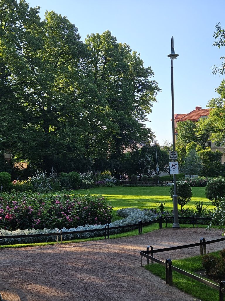 Istutuksia ja kasvillisuutta Eiranpuistossa Helsingissä. Kuvassa puistoalue kaupunkimiljöössä — kuvattu vuonna 2025.